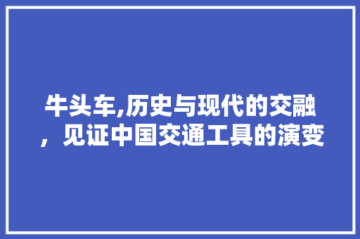 牛头车,历史与现代的交融，见证中国交通工具的演变