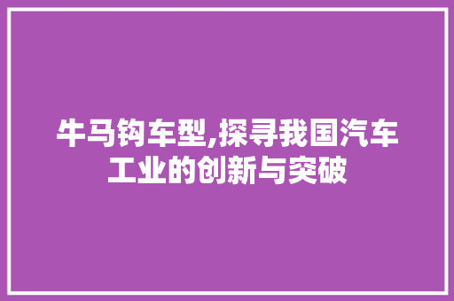 牛马钩车型,探寻我国汽车工业的创新与突破