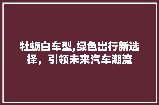 牡蛎白车型,绿色出行新选择，引领未来汽车潮流