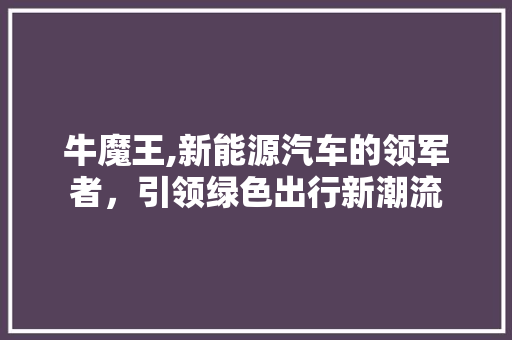 牛魔王,新能源汽车的领军者，引领绿色出行新潮流