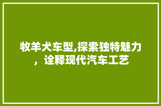 牧羊犬车型,探索独特魅力，诠释现代汽车工艺