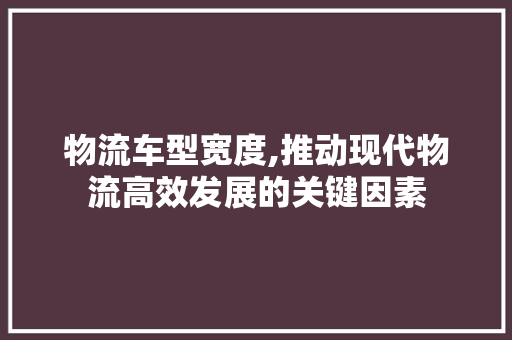 物流车型宽度,推动现代物流高效发展的关键因素