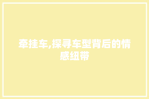 牵挂车,探寻车型背后的情感纽带 新款车型