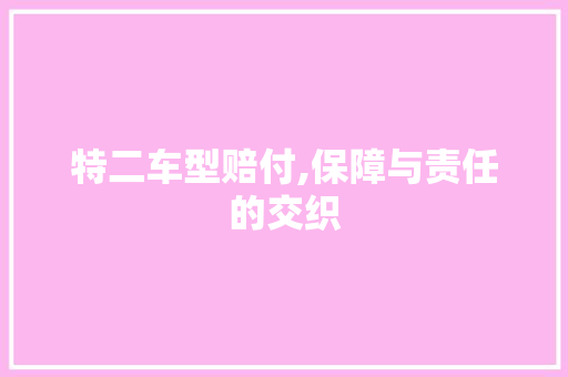 特二车型赔付,保障与责任的交织 新能源汽车