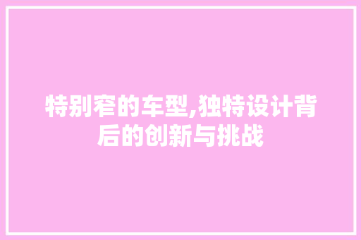 特别窄的车型,独特设计背后的创新与挑战