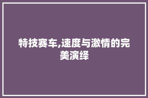特技赛车,速度与激情的完美演绎
