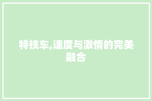 特技车,速度与激情的完美融合