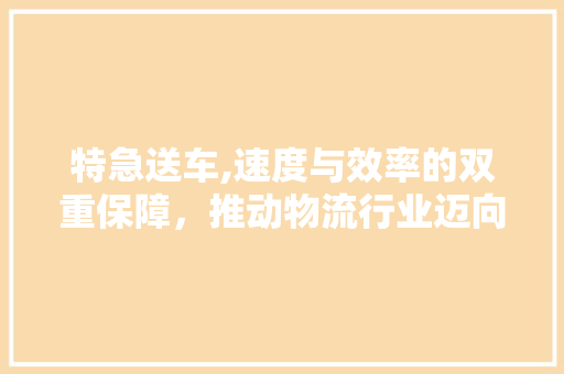 特急送车,速度与效率的双重保障，推动物流行业迈向新纪元