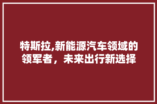 特斯拉,新能源汽车领域的领军者，未来出行新选择