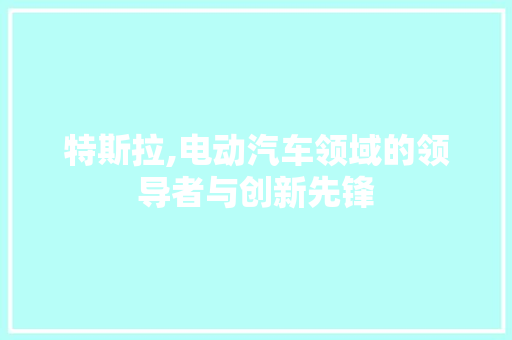 特斯拉,电动汽车领域的领导者与创新先锋