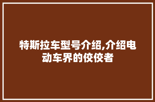 特斯拉车型号介绍,介绍电动车界的佼佼者