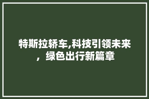 特斯拉轿车,科技引领未来，绿色出行新篇章