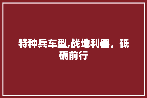 特种兵车型,战地利器，砥砺前行
