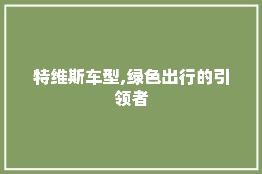 特维斯车型,绿色出行的引领者