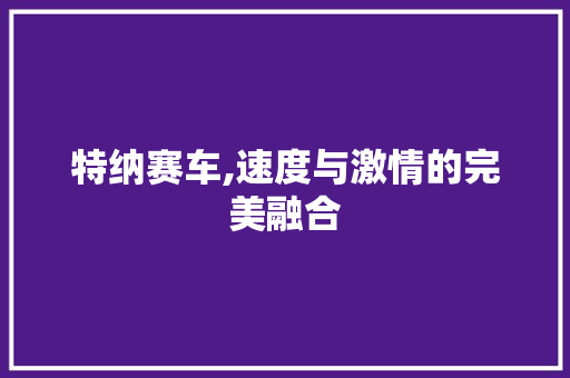 特纳赛车,速度与激情的完美融合