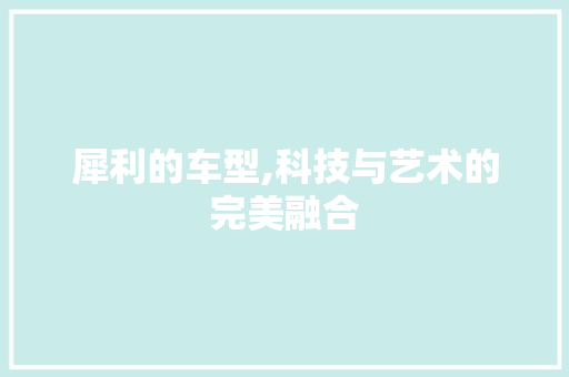 犀利的车型,科技与艺术的完美融合