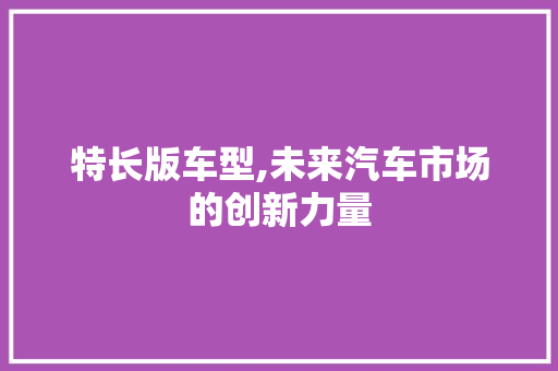 特长版车型,未来汽车市场的创新力量