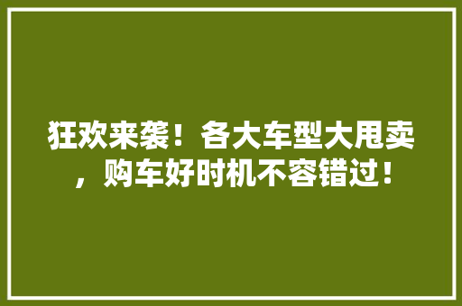 狂欢来袭！各大车型大甩卖，购车好时机不容错过！