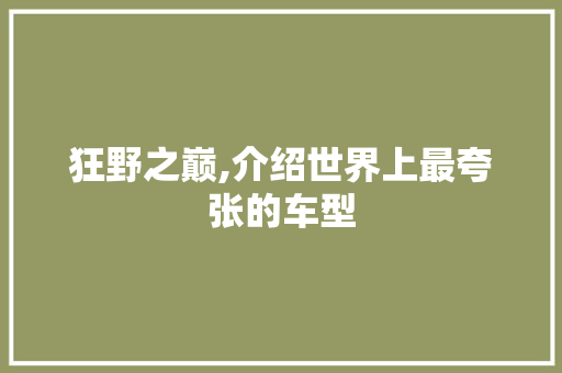 狂野之巅,介绍世界上最夸张的车型