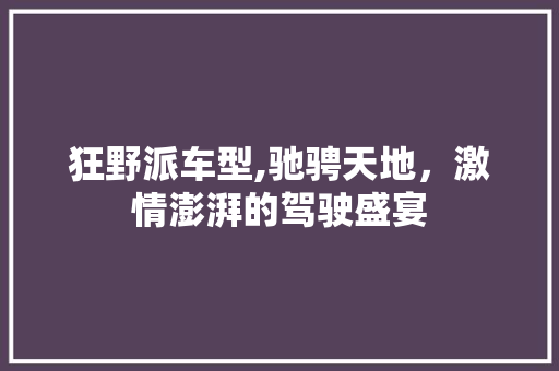 狂野派车型,驰骋天地，激情澎湃的驾驶盛宴