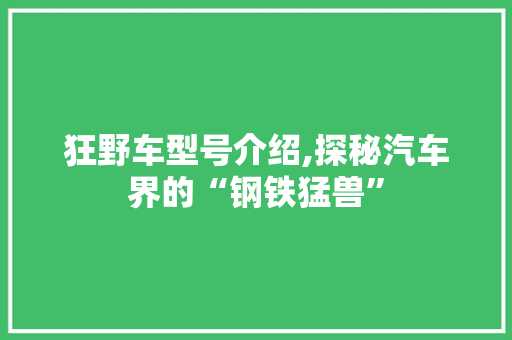狂野车型号介绍,探秘汽车界的“钢铁猛兽”