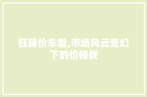 狂降价车型,市场风云变幻下的价格战