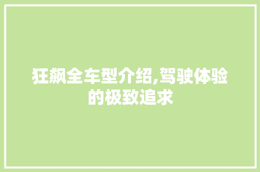 狂飙全车型介绍,驾驶体验的极致追求