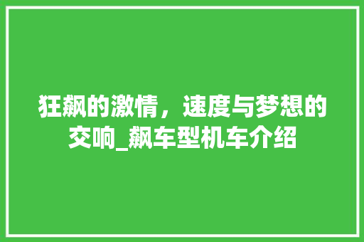狂飙的激情，速度与梦想的交响_飙车型机车介绍