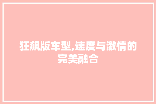 狂飙版车型,速度与激情的完美融合