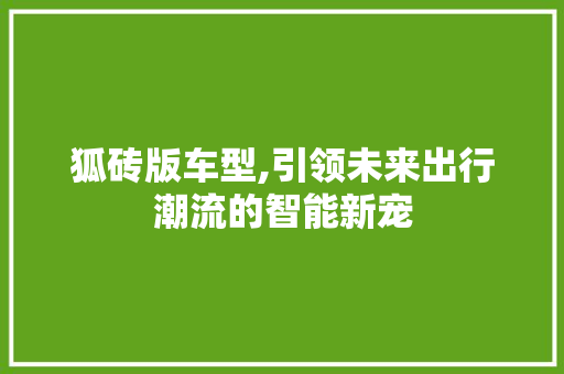 狐砖版车型,引领未来出行潮流的智能新宠