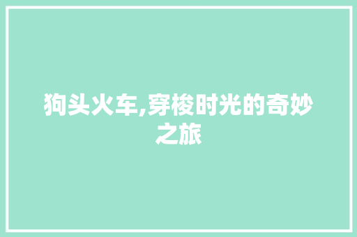 狗头火车,穿梭时光的奇妙之旅