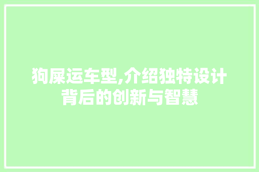 狗屎运车型,介绍独特设计背后的创新与智慧