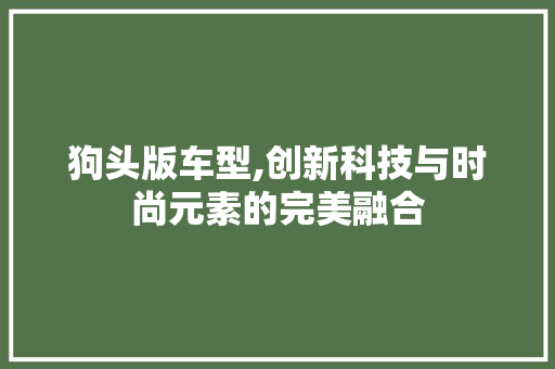 狗头版车型,创新科技与时尚元素的完美融合