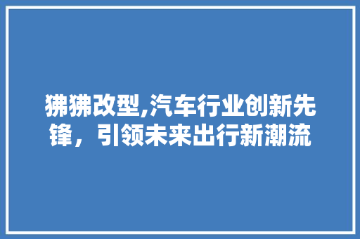 狒狒改型,汽车行业创新先锋，引领未来出行新潮流