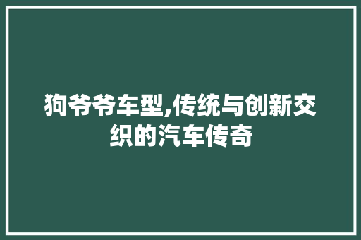 狗爷爷车型,传统与创新交织的汽车传奇