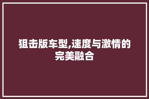 狙击版车型,速度与激情的完美融合