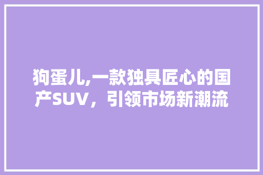 狗蛋儿,一款独具匠心的国产SUV，引领市场新潮流