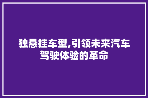 独悬挂车型,引领未来汽车驾驶体验的革命