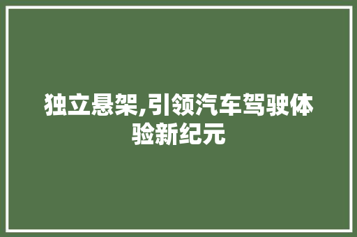独立悬架,引领汽车驾驶体验新纪元