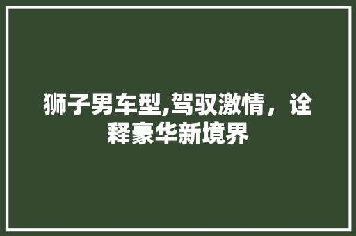 狮子男车型,驾驭激情，诠释豪华新境界 汽车配件