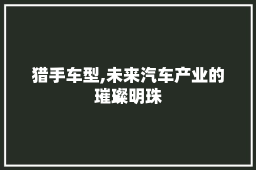 猎手车型,未来汽车产业的璀璨明珠