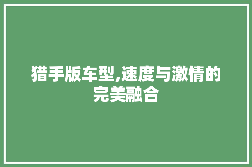 猎手版车型,速度与激情的完美融合