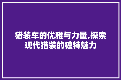 猎装车的优雅与力量,探索现代猎装的独特魅力