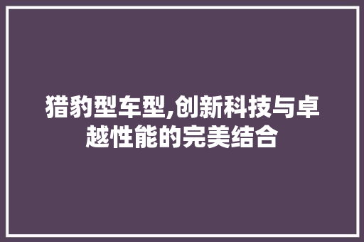 猎豹型车型,创新科技与卓越性能的完美结合