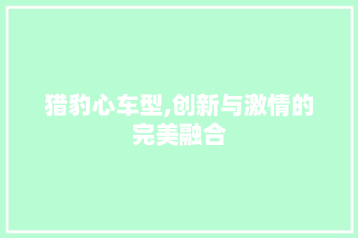 猎豹心车型,创新与激情的完美融合