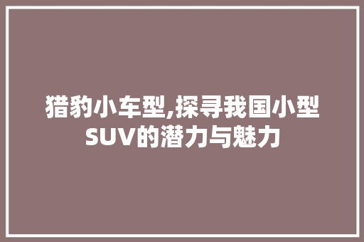 猎豹小车型,探寻我国小型SUV的潜力与魅力