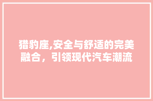 猎豹座,安全与舒适的完美融合，引领现代汽车潮流