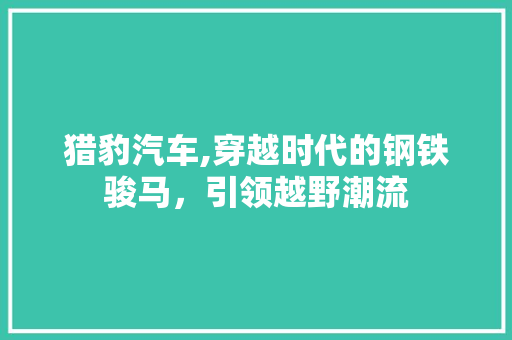 猎豹汽车,穿越时代的钢铁骏马，引领越野潮流