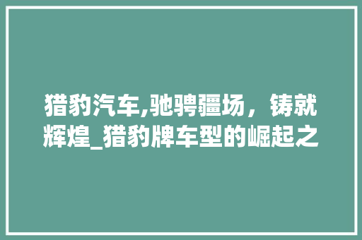 猎豹汽车,驰骋疆场，铸就辉煌_猎豹牌车型的崛起之路