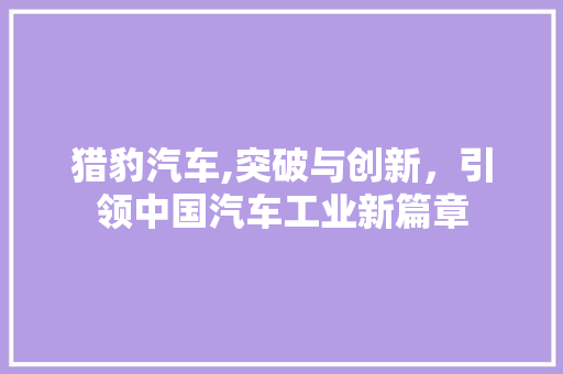 猎豹汽车,突破与创新，引领中国汽车工业新篇章 发动机配件
